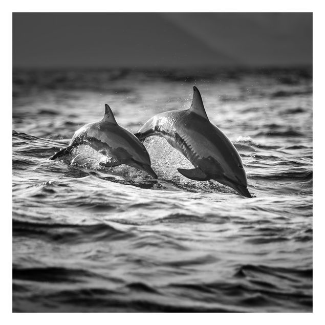 Tapet Two Jumping Dolphins