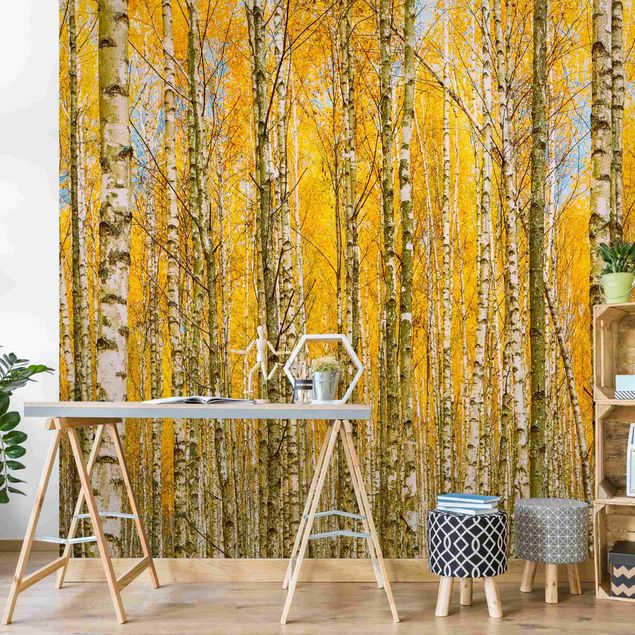 Moderne tapet Between Yellow Birch Trees
