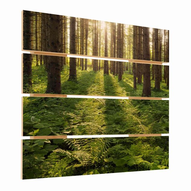 Prints på træ Sun Rays In Green Forest