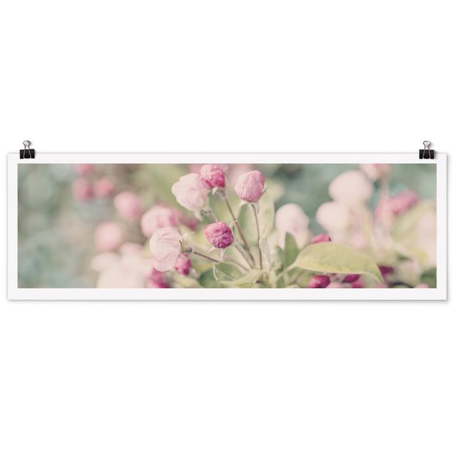 Plakater kunsttryk Apple Blossom Bokeh Light Pink