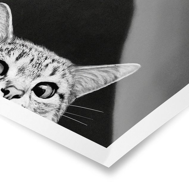 Plakater dyr Illustration Cat Black And White Drawing