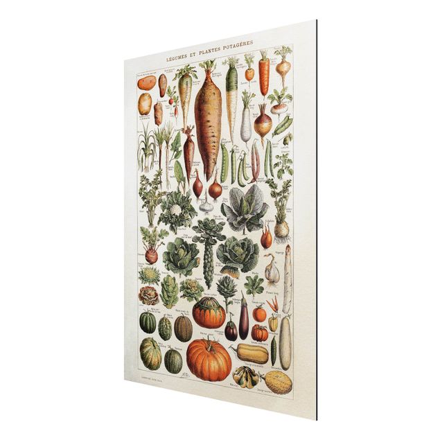 Billeder blomster Vintage Board Vegetables