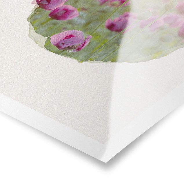 Billeder Rainer Mirau WaterColours - Violet Poppy Flowers Meadow In Spring