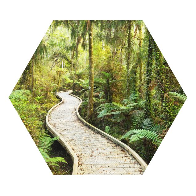 Billeder 3D Path In The Jungle