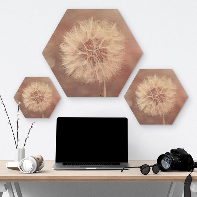 Hexagon Bild Holz - Pusteblume Bokeh rosa