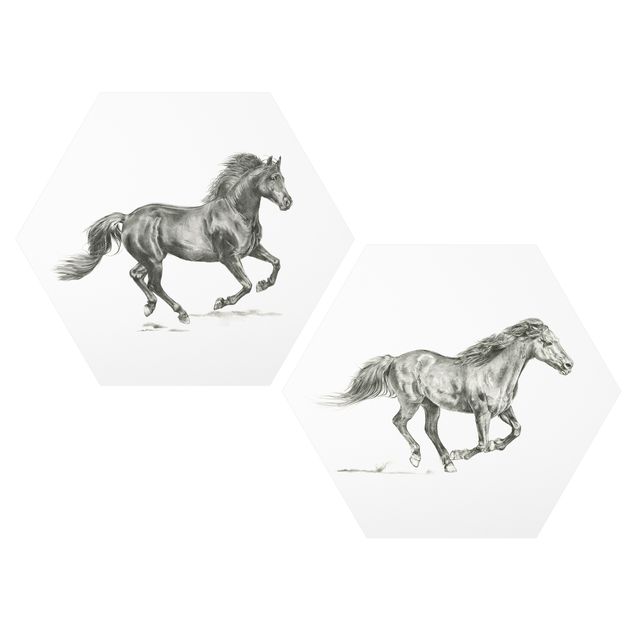 Billeder moderne Wild Horse Study Set I