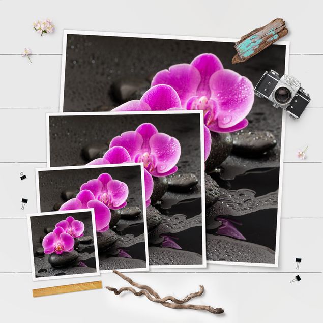 Plakater Pink Orchid Flower On Stones With Drops
