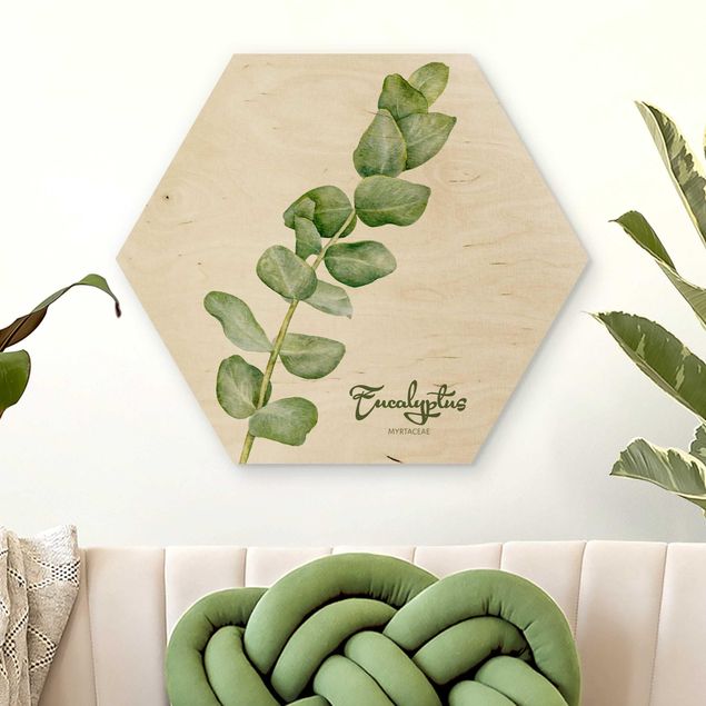 køkken dekorationer Watercolour Botany Eucalyptus