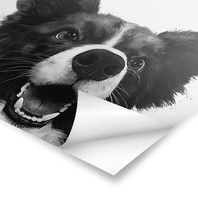 Billeder Laura Graves Art Illustration Dog Border Collie Black And White Painting