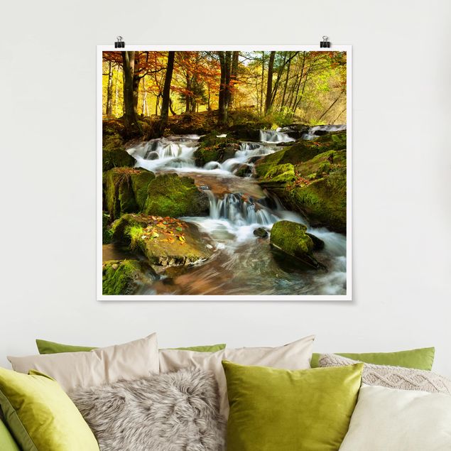 Billeder træer Waterfall Autumnal Forest