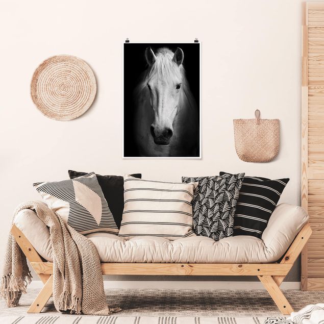 Billeder heste Dream Of A Horse