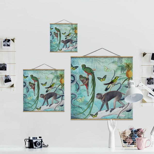Billeder grøn Colonial Style Collage - Monkeys And Birds Of Paradise