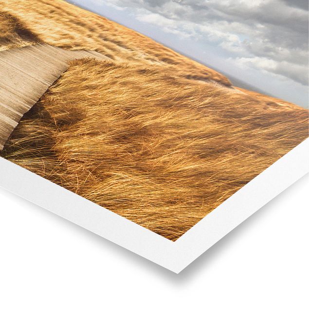 Plakater landskaber Path Between Dunes