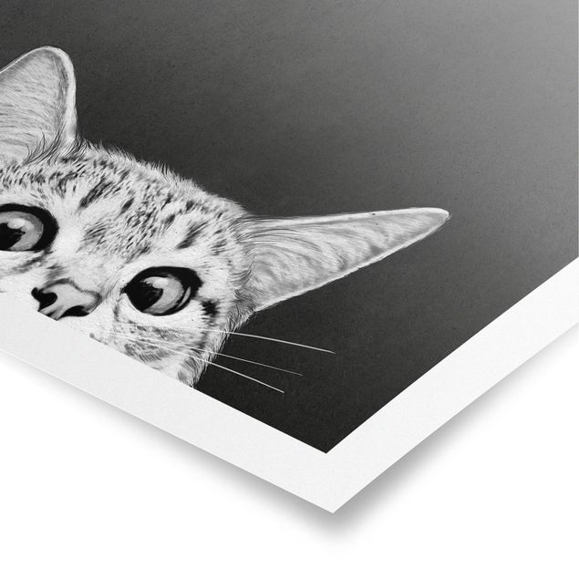 Plakater kunsttryk Illustration Cat Black And White Drawing