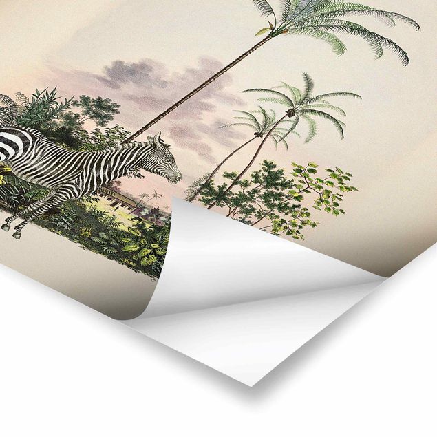 Billeder Andrea Haase Zebra Front Of Palm Trees Illustration