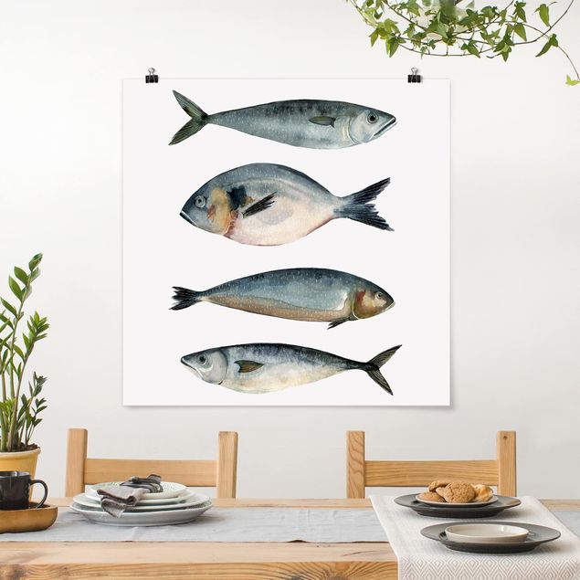 Billeder fisk Four Fish In Watercolour II