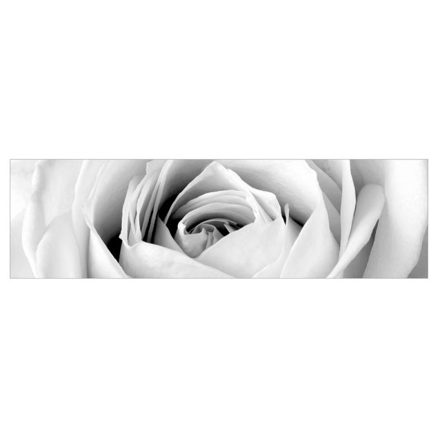 Küchenrückwand - Close Up Rose