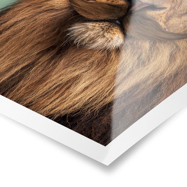 Billeder kunsttryk Lion With Beard