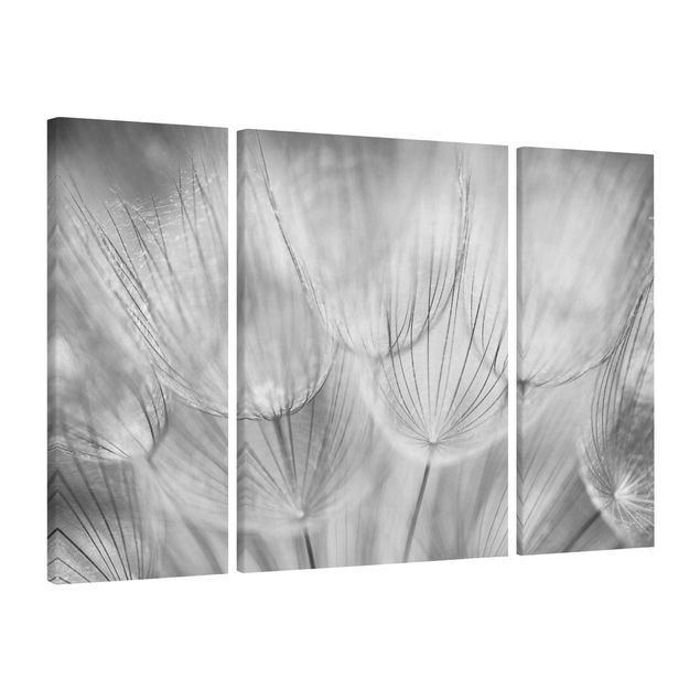 Billeder på lærred blomster Dandelions Macro Shot In Black And White