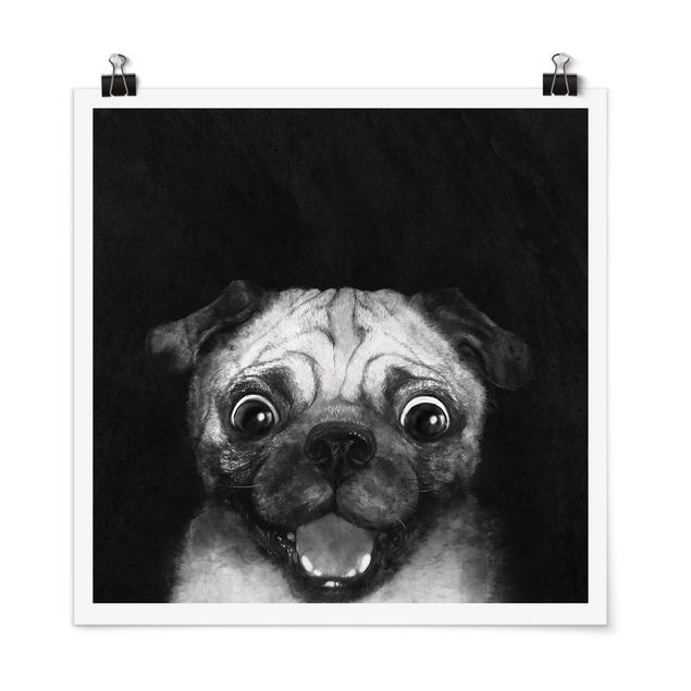 Plakater kunsttryk Illustration Dog Pug Painting On Black And White