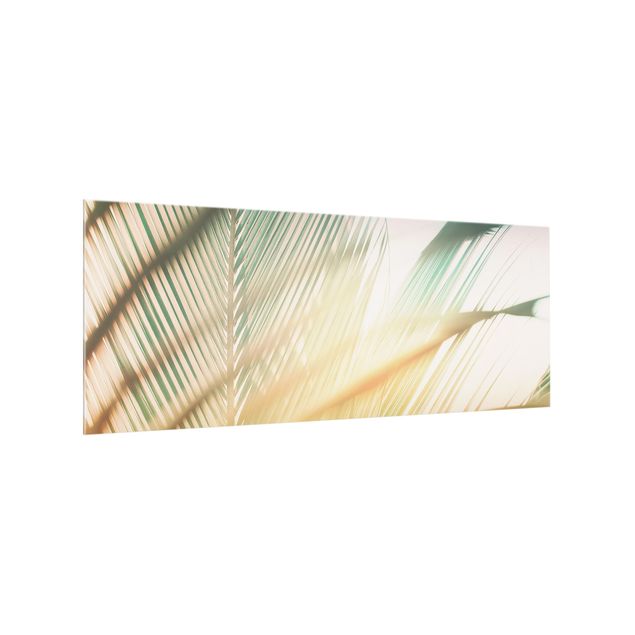 Stænkplader glas Tropical Plants Palms At Sunset II