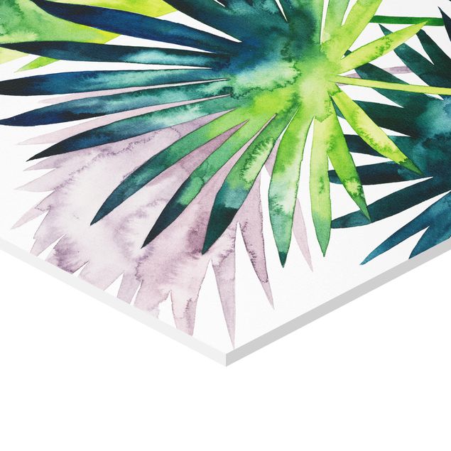 Sekskantede billeder Exotic Foliage - Fan Palm