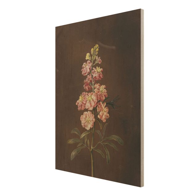 Prints på træ blomster Barbara Regina Dietzsch - A Light Pink Gillyflower