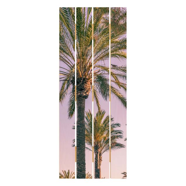 Billeder Uwe Merkel Palm Trees At Sunset