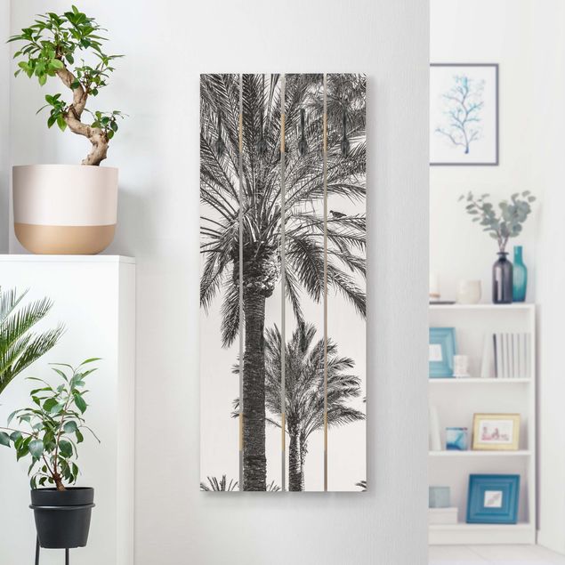 Knagerækker blomster Palm Trees At Sunset Black And White