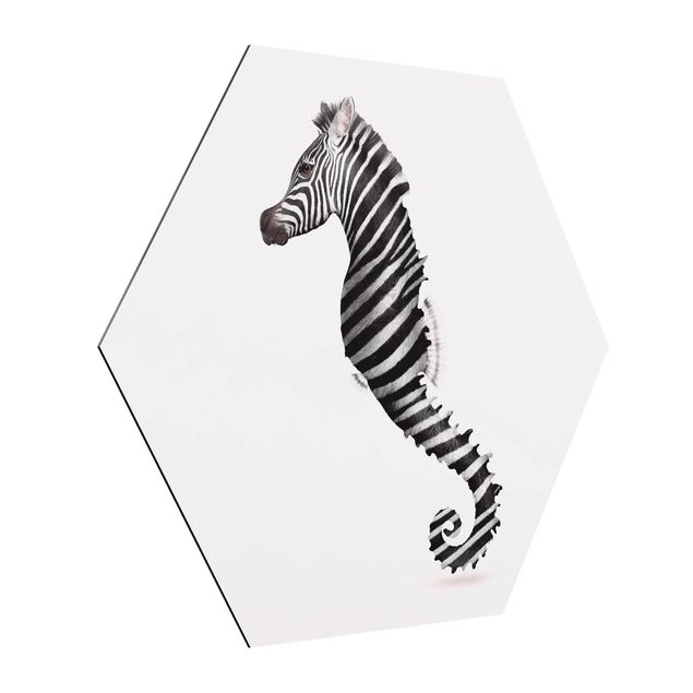 Billeder zebraer Seahorse With Zebra Stripes