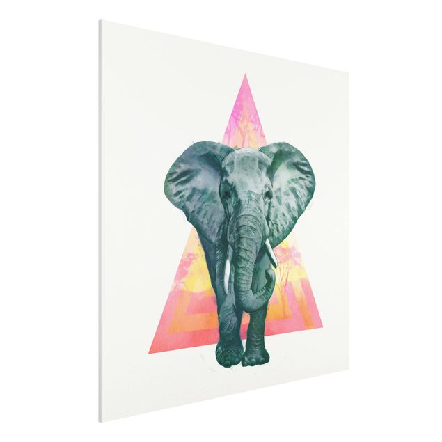 køkken dekorationer Illustration Elephant Front Triangle Painting