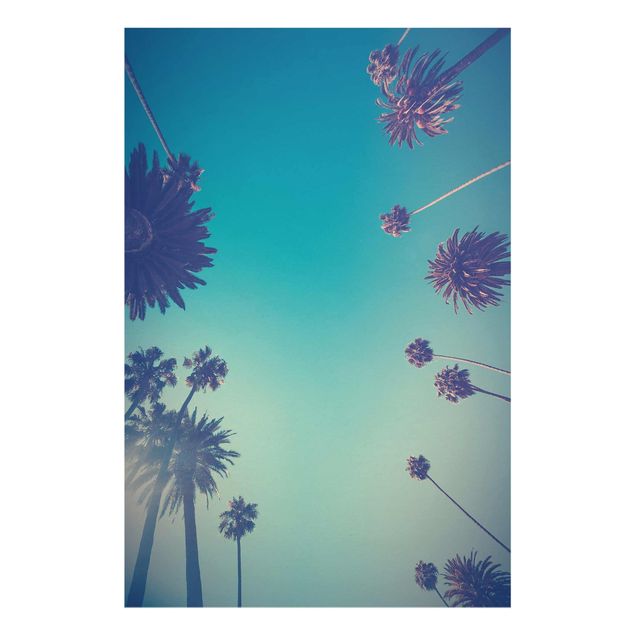 Glasbilleder blomster Tropical Plants Palm Trees And Sky II