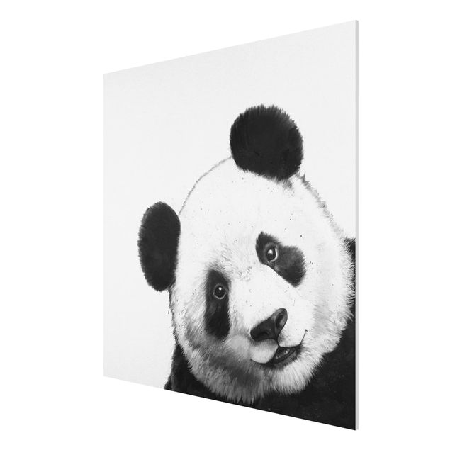 Billeder pandaer Illustration Panda Black And White Drawing