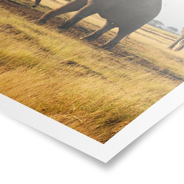 Plakater landskaber Elephants In Front Of The Kilimanjaro In Kenya