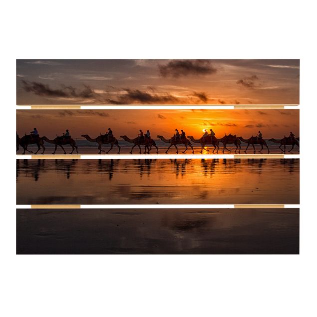 Prints på træ Camel Safari