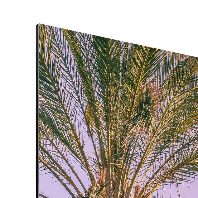 Billeder kunsttryk Palm Trees At Sunset