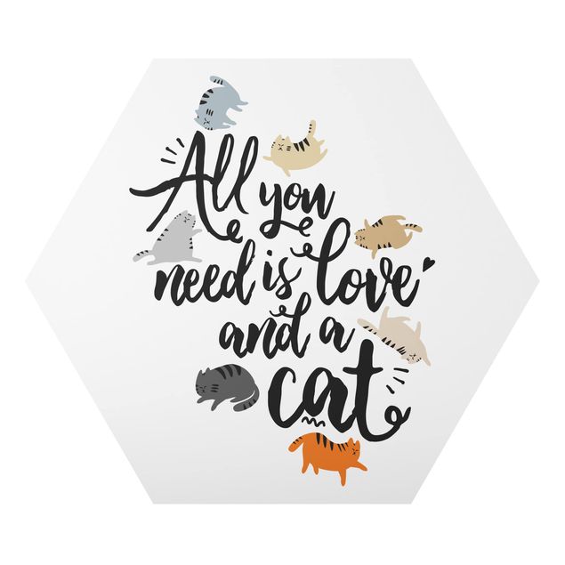 Billeder moderne All You Need Is Love And A Cat