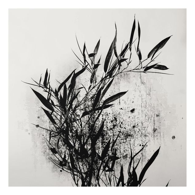 Billeder fisk Graphical Plant World - Black Bamboo