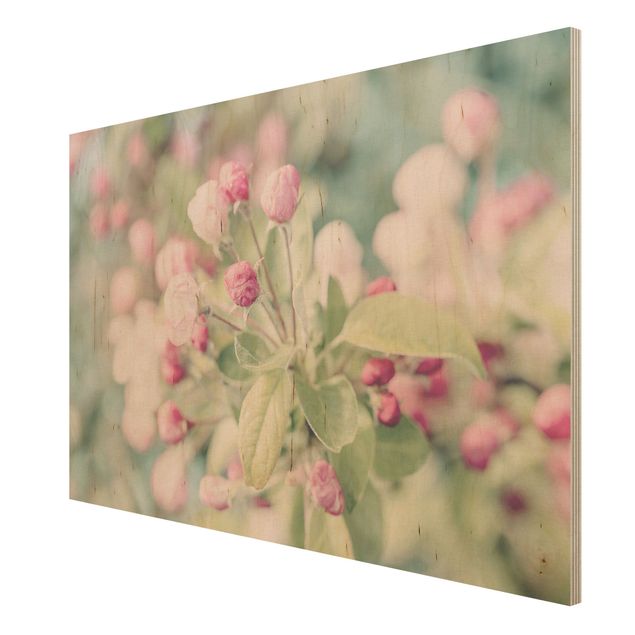 Prints på træ vintage Apple Blossom Bokeh Light Pink