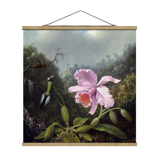 Billeder blomster Martin Johnson Heade - Still Life With An Orchid And A Pair Of Hummingbirds