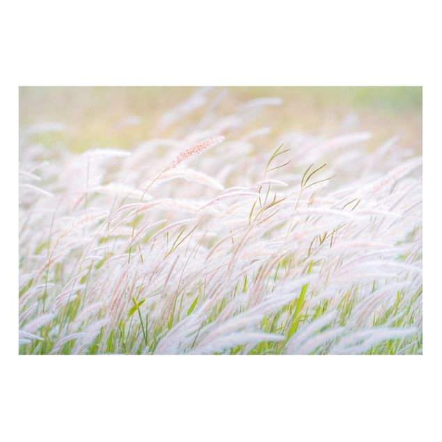 Magnettavler blomster Soft Grasses