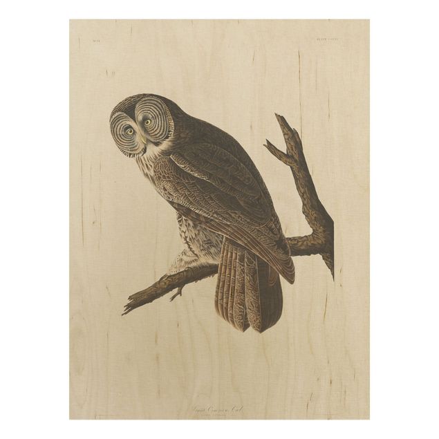 Prints på træ vintage Vintage Board Great Owl