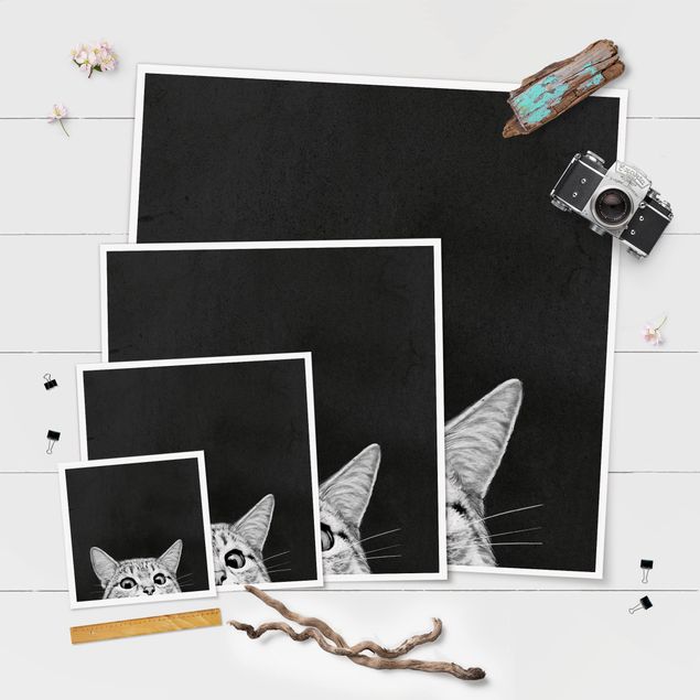 Billeder sort og hvid Illustration Cat Black And White Drawing