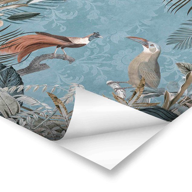Plakater Vintage Collage - Birds Of Paradise
