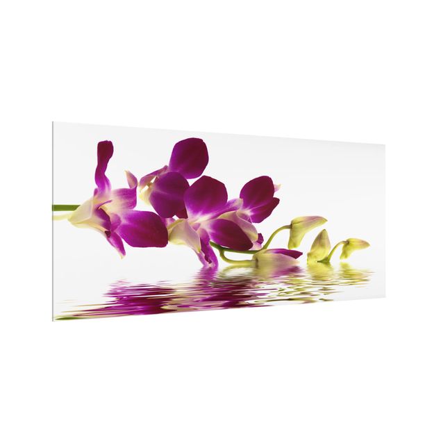 Stænkplader glas Pink Orchid Waters