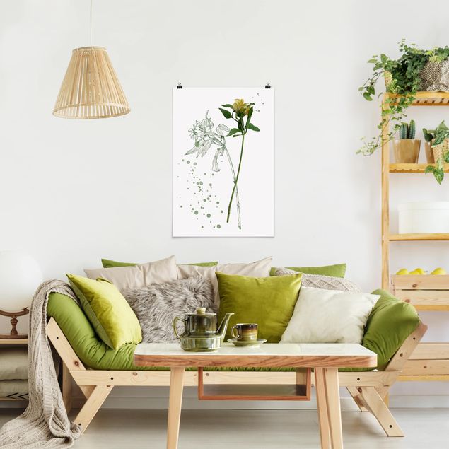 Plakater blomster Botanical Watercolour - Lily
