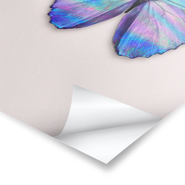 Billeder Jonas Loose Holographic Butterfly