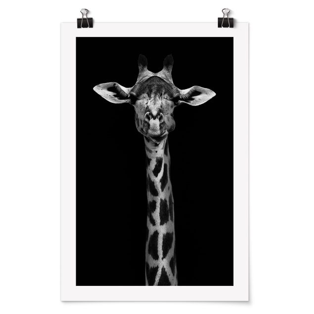 Plakater dyr Dark Giraffe Portrait