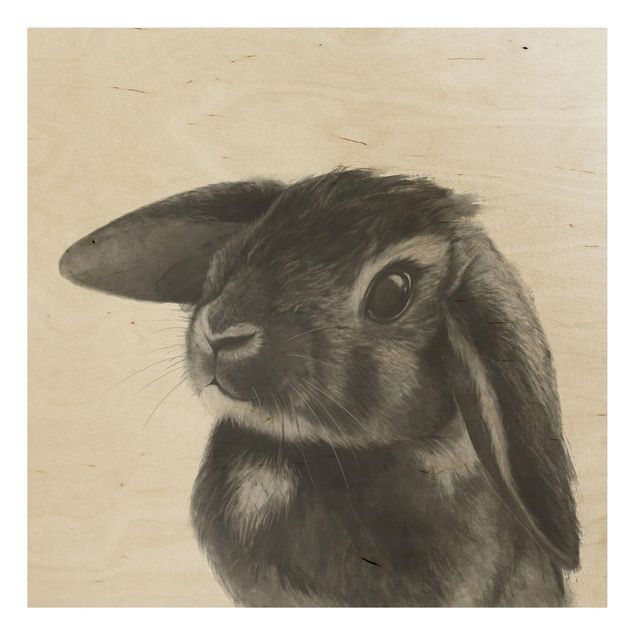 Billeder Illustration Rabbit Black And White Drawing