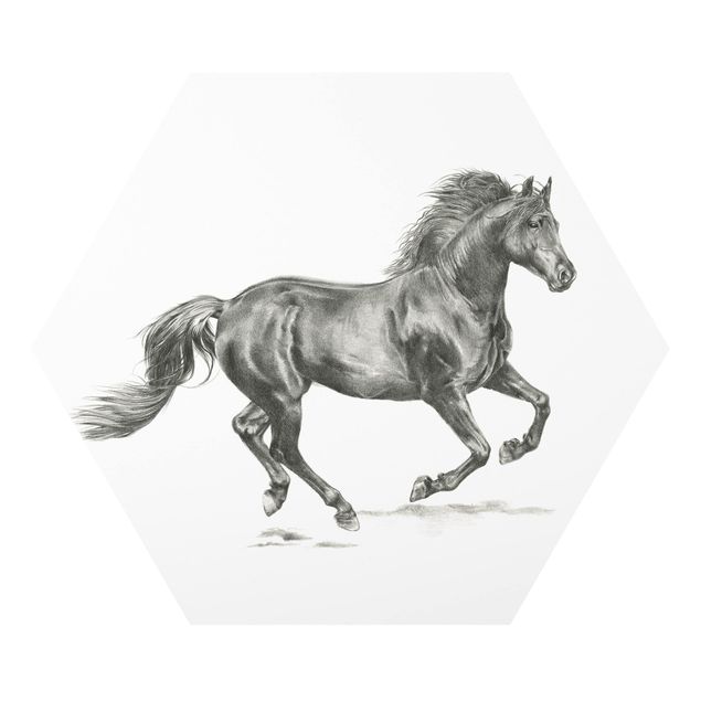 Forex Wild Horse Trial - Stallion
